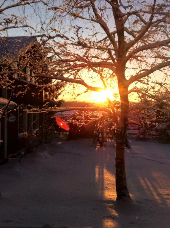 Ilola Maatilamatkailu Valkeakoski Exterior foto